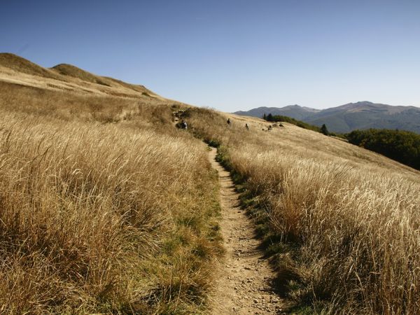 Połonina Caryńska-grzbiet