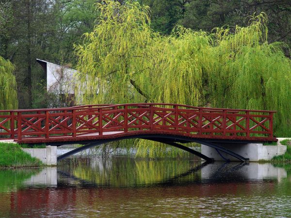 Żmigród - zespół pałacowo - parkowy