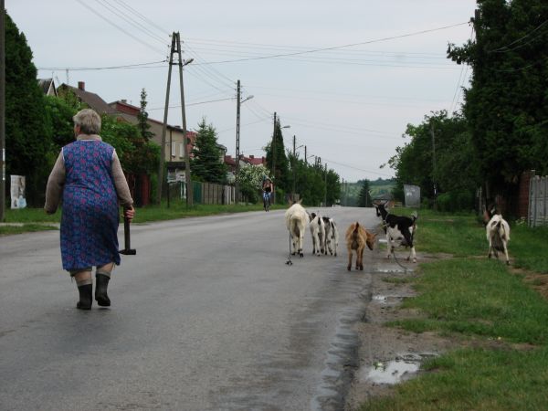 Zdjęcia Parkoszowice