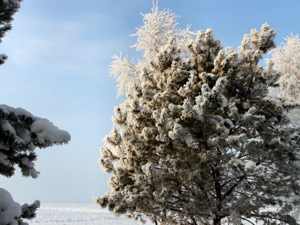 zdjecie Tyniewicze Duże