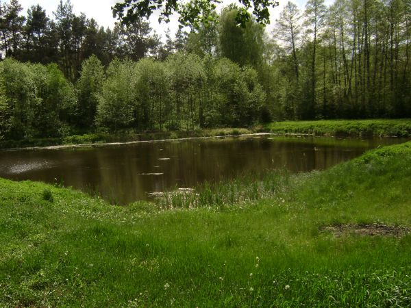 W wllnych chwilach jest gdzie wypoczac staw p. Sekulskiego