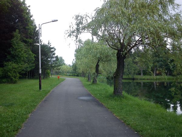 Sosnowiec-Kazimierz Górniczy. Park Leśna.