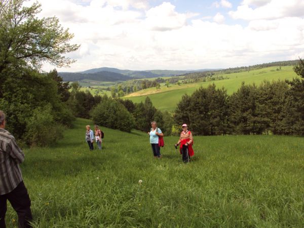 małe łączki śródleśne tworzą platformy widokowe - tu z perspektywą na Żernicę Wyżną i dolinę potoku Ruchlin a w nim wody tak czyste, że raki upodobały je sobie