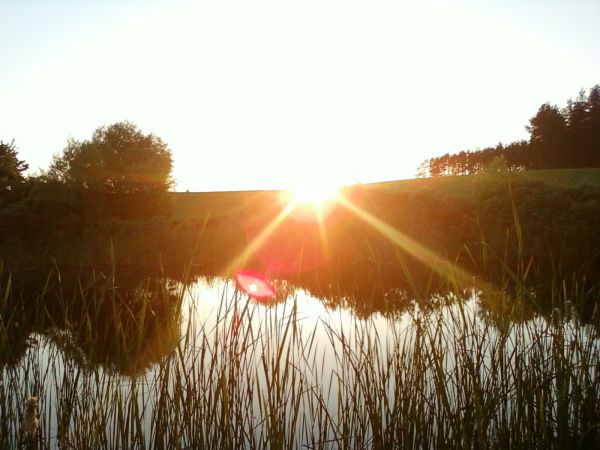 Zdjęcia Zalesie Szlacheckie