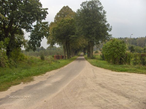 Aleja lipowa .
