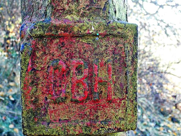 Silno k/Torunia  To żeliwny słupek z orłem,związany z historią tego miejsca...a mogiły również ,są jakieś 250 metrów dalej w lesie. Cała historia......w jednym