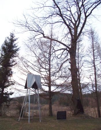 w obrębie kościoła - na starym cerkiewnym wzgórzu, w cieniu pomnikowych drzew przez miejscową społeczność posadowiona została kamienna płyta z przekazem informa