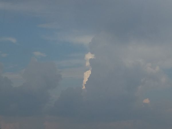 "Konilk morsk"i nad Przemyślem