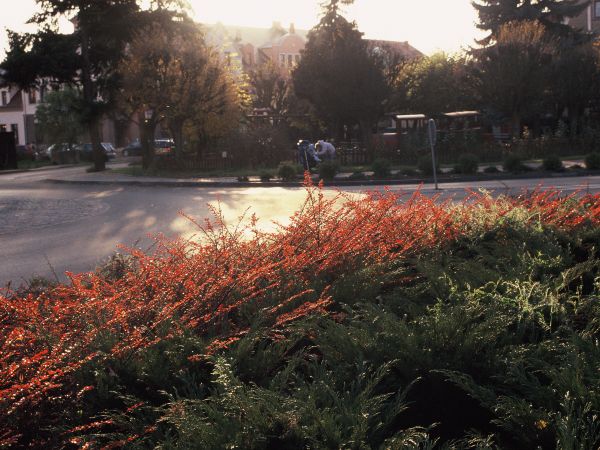 Wolsztyn, rondo "SOLIDARNOŚCI"
