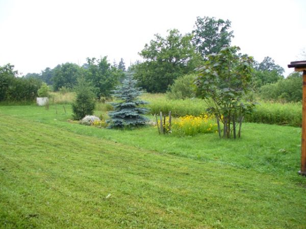 Zdjęcia Morzęcin Mały