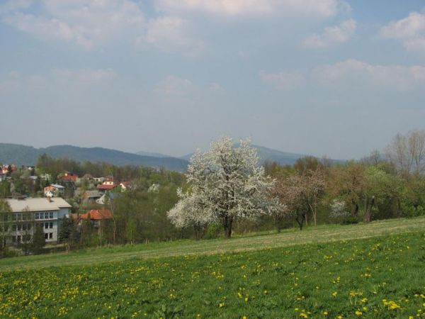 zdjecie Pietrzykowice