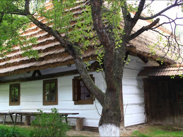 Skansen w Markowej - Chałupa kmieca konstrukcji przysłupowej z 1874 r