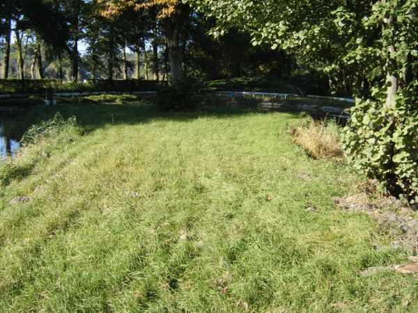 zdjecie Stare Kurowo