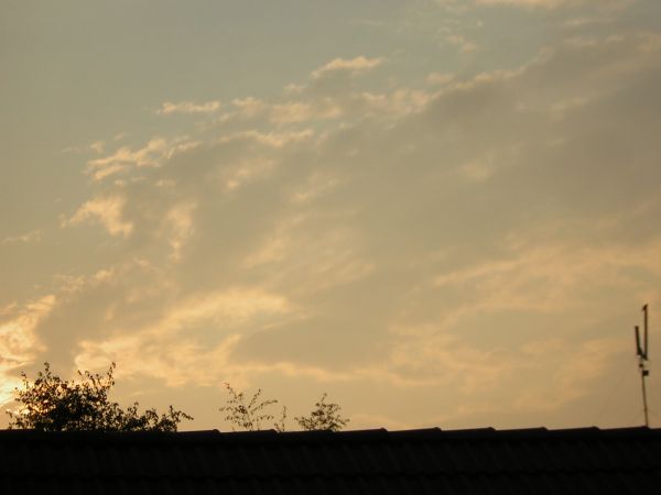 zdjecie Sulechów