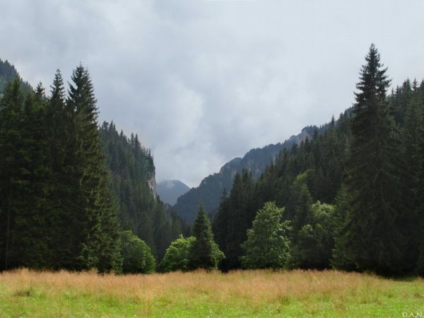 Dolina Kościeliska, Kościelisko