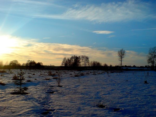 Panorama zimowych łąk