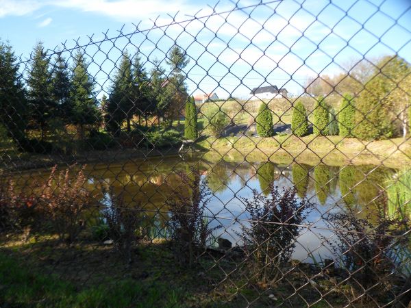 staw - w centrum wsi, w linii brzegowej ozdobiony nasadzeniami.