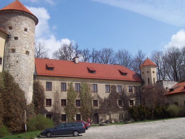 Zamek po raz pierwszy wzmiankowany jest jako Peskenstein w dokumencie wydanym w 1315 roku przez Władysława Łokietka. W I połowie XIV wieku Kazimierz III Wielki