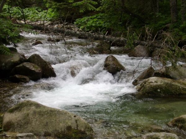 zdjecie Zakopane