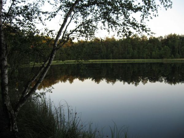 Zdjęcia Wólka Mlęcka