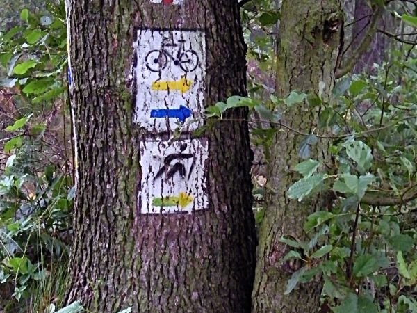 pieszo i rowerem niczego sobie wioska