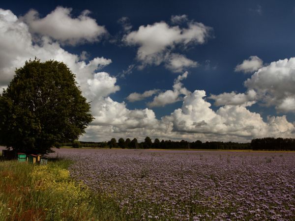 zdjecie Tyniewicze Duże