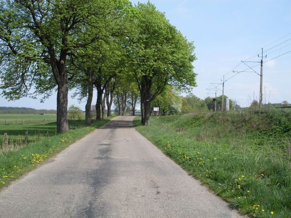 Droga przed wsią Gamerki WLK.