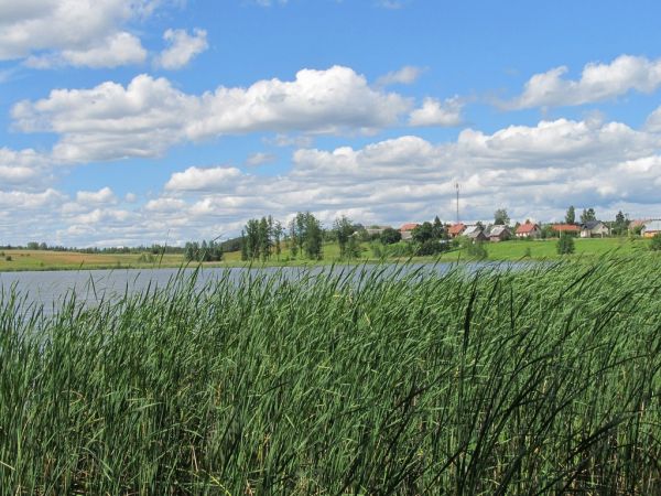 Jezioro Lubiki w Lubikach