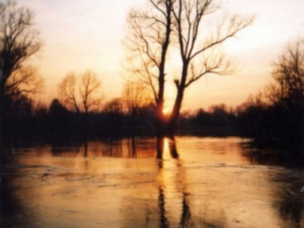 Wieprz wystąpił z koryta