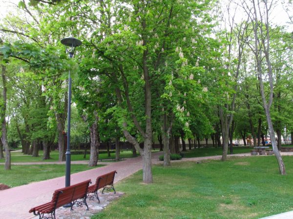 Park Tysiąclecia w Chojnicach