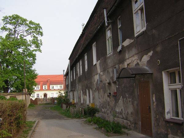 zdjecie Sulechów