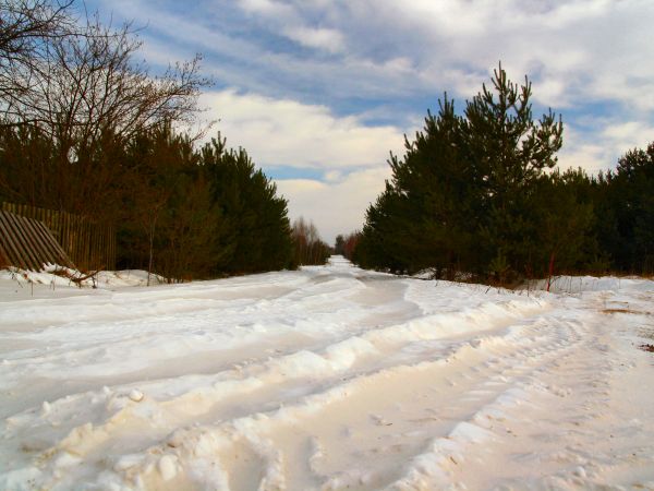 zdjecie Tyniewicze Duże