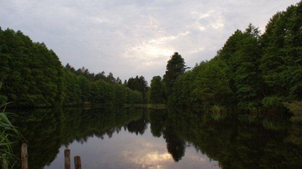 Wieczór, cisza, Iłowiec - lipiec 2011