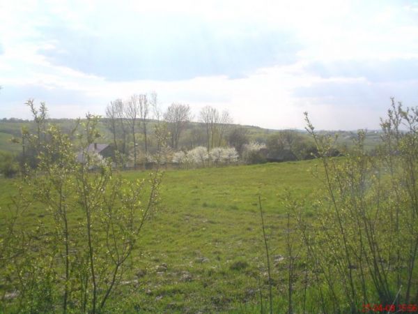 zdjecie Hucisko Jawornickie