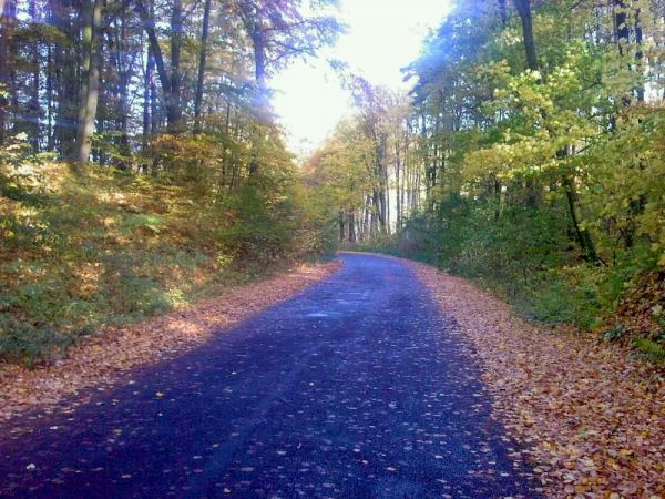 Droga do Tulic od strony Waplewa.