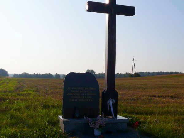 Ku czci poległych żołnierzy W.P. w walce z bolszewikami w 1920r.