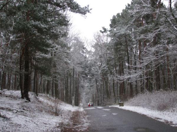 zdjecie Zalesie Górne