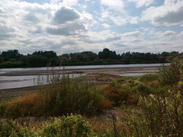 Wisła zadziwia mozaiką piasku, wody i zieleni, którą tworzą znajdujące się w jej korycie ławice, łachy i kępy. Wygląd koryta rzeki podlega nieustannym zmianom -