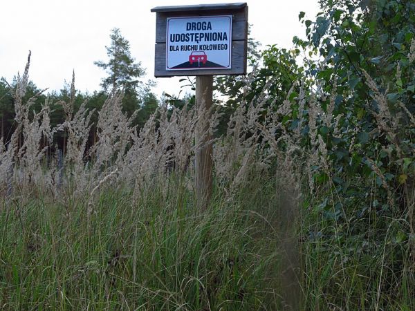 W drodze z Czarnej Wody do Wiecka