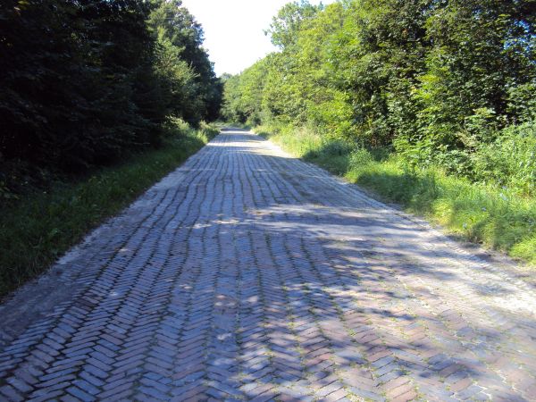 Na początku lat 50-tych utwardzono drogę do Łazowej cegłą klinkierową.