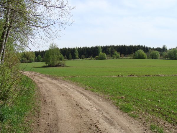 Najbliższa okolica:)