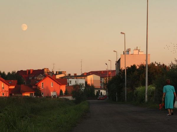 Powrót z działeczki.