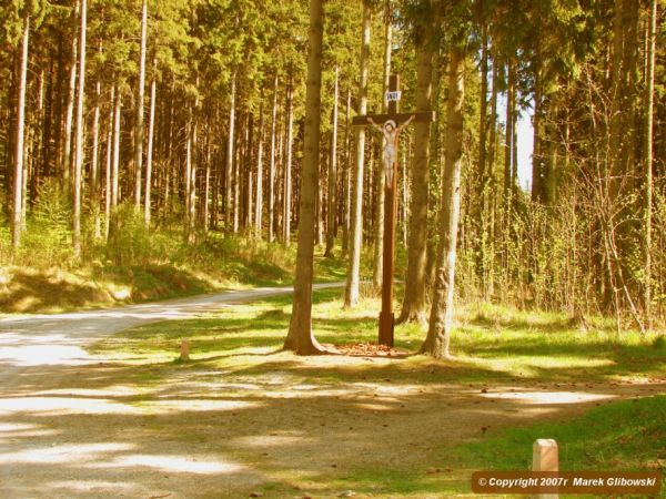 zdjecie Góra Igliczna