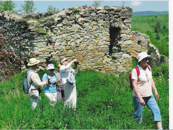 Przeprowadzone zostaną także prace konserwatorskie murów w obrębie ogrodu i wieży. Projekt przewiduje "rewitalizację ogrodu klauzurowego". Zostaną posadzone roś