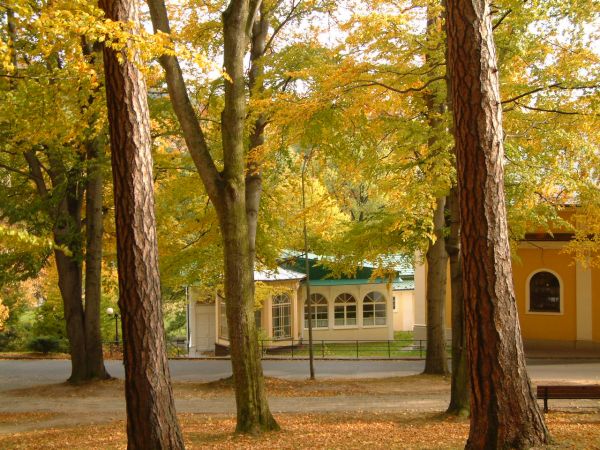 zdjecie Lądek-Zdrój