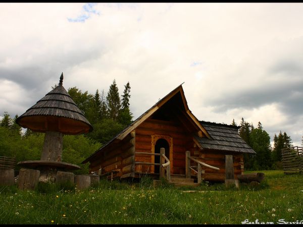 Czynna bacówka na "Ochlipowie" niedaleko pomnika. Latem można tu spotkac owce oraz zakupic oscypek.