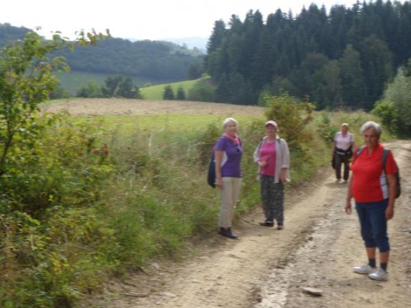za przysiółkiem wsi o nazwie Morochownica rozciągają się dzikie, bezludne pustkowia, pośród których potok Matorga zatacza rozliczne zakola, okolica zadziwia pię