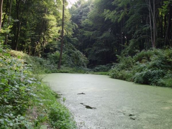 Zdjęcia Kraśniczyn