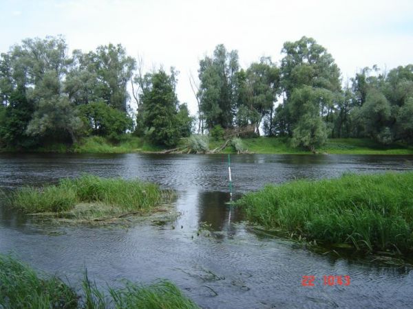 Rzeka Narew , poziom wody zmienia się względem temperatur i pory roku