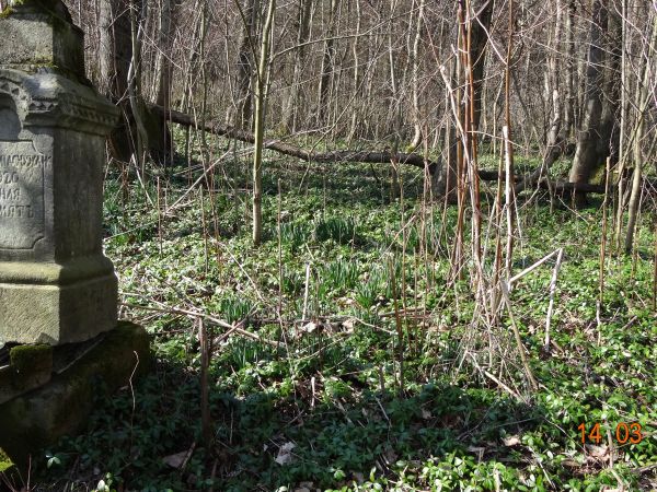 na cmentarzu wyznawców obrządku grecko-katolickiego, do czasu wysiedleń - mieszkańców tej wsi - duży płat barwinka stanowi poszycie leśne, cmentarne.